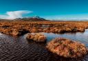 View over the peat bogs towards Ben Griam Beag, at Forsinard, in the Flow Country, Sutherland