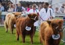 What will the weather be like at the Royal Highland Show this week?
