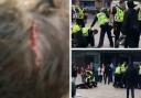 A head wound suffered by a protester amid alleged police violence during clashes at Govan Cross on July 3