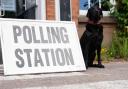 Stock image of a black labrador waiting outside a polling station