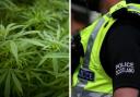 Police have seized a cannabis cultivation 'worth around £1.5m' in Peterhead