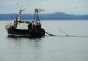 An inshore prawn trawler registered at Greenock, fishing in Largs Bay