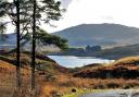 The project to make Galloway the next national park has been in the works for eight years