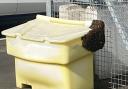 The bee swarm at Edinburgh Airport car park (Edinburgh Airport/PA Wire)