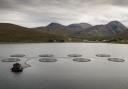 Members of Holyrood’s Rural Affairs and Islands Committee visited the fish farm in Dunstaffnage