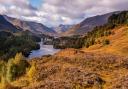 Glen Affric’s stunning landscape is the perfect place to enjoy autumnal colours