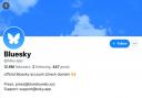 Bluesky has taken the internet by storm as Twitter/X users move across to the platform