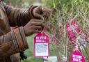 A person attaches a dying wish to a tree during an event in support of assisted dying law outside the Scottish Parliament in Edinburgh