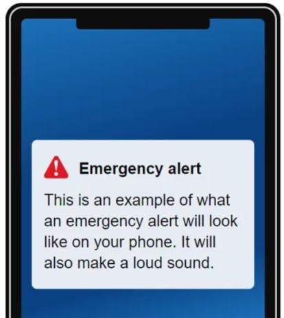 The National: What a government emergency alert will look like. Picture: gov.uk