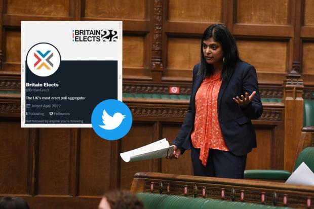 Labour MP red-faced after falling for parody 'Britain Erect' poll
