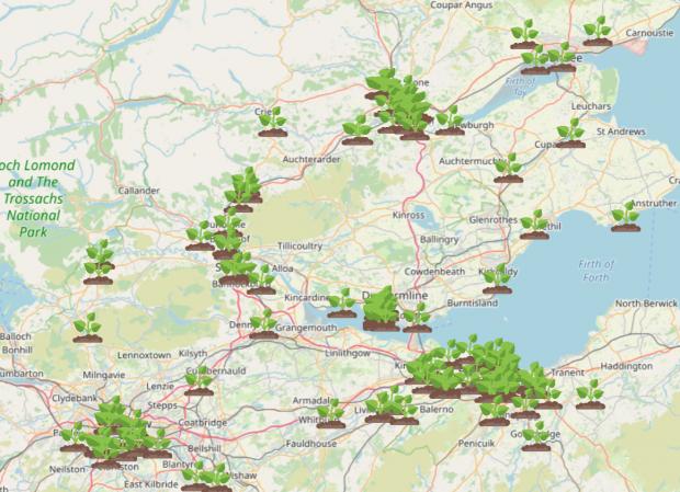 The National: Giant Hogweed Locations Map. Credit: WhatShed