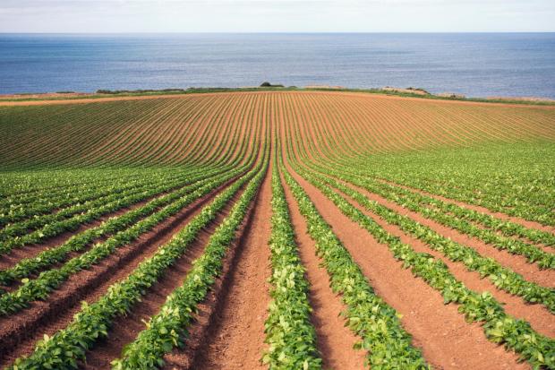 Issues around the environment and Scotland’s food system are limited by devolution
