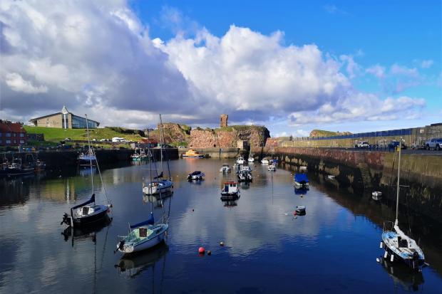 East Lothian is renowned for its coastal wildlife and visitors can get up close and personal thanks to boat tours and sea safaris