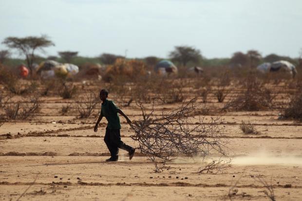 Unicef reports that at least 700 million people are at risk of displacement due to severe water shortages up to 2030