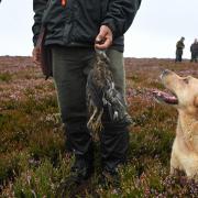 Is Crown Estate land avoiding the full scrutiny of the law when it comes to grouse moors?