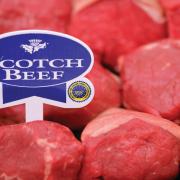 Scotch beef will return to Aldi's shelves during the summer, bosses at the chain have announced
