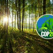 Over 100 leaders pledge to protect forests in first COP26 pledge