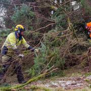 Work has been done to restore power to thousands of homes after Storm Arwen felled trees causing widespread disruption to energy networks