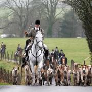 The Scottish Greens have called again for the Scottish Government to ban fox hunting