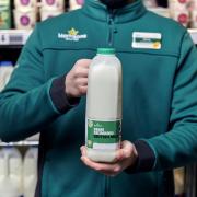 Supermarket to scrap ‘use by’ dates on milk to reduce food waste