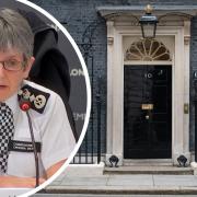 Dame Cressida Dick is head of the Metropolitan Police and reports suggest that the force will only investigate 'finable offences'