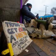 A homeless person and their dog on Princes Street, Edinburgh