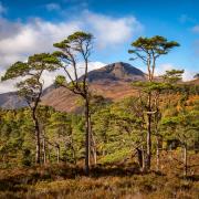 Sgurr na Lapaich in Glen Affric is perhaps the most beautiful glen in Scotland