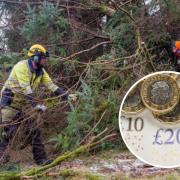 Extensive work was needed to restore power to thousands of homes in the wake of Storm Arwen