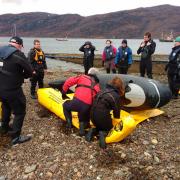 British Divers Marine Life Rescue (BDMLR) are to host a course in how to rescue whale, dolphins and seals