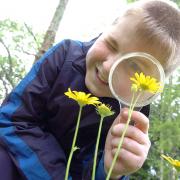 The percentage of teachers who believed their pupils’ engagement in learning outdoors was good or excellent also increased from 56% to 79% | Credit: NatureScot