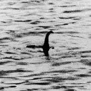 A famous photograph that allegedly showed the Loch Ness monster, taken in 1934. It was later revealed to be a hoax