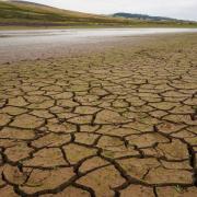 Threipmuir Reservoir in the Pentland Hills, near Edinburgh, after a long hot summer in 2018