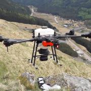 Drones are used to plant trees in North America and parts of Europe