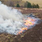 Muirburn devastates the Scottish landscape. Picture: Raptor Persecution UK
