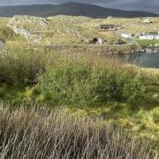 New native woods prizewinners Mike and Fiona Coulthard are overcoming the Isle of Scalpay’s rocky terrain and windy weather which make tree growing a challenge