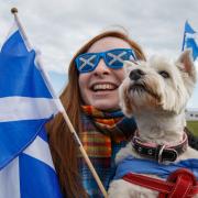 The poll is bringing good news for Yessers