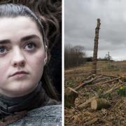 Games of Thrones star Maisie Williams has raised the alarm over the impact of climate change