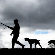 The Scottish Parliament will vote on the first stage of the Hunting With Dogs Bill on Tuesday