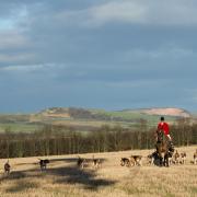 The Hunting With Dogs Bill seeks to end fox hunting in Scotland for good