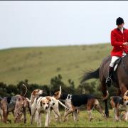 A fox hunting ban would not only protect the wild animals but also bring the elite to heel