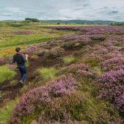 Scotland has its first academic peatland restoriation course