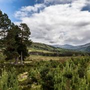 Cairngorms National Park could reach net zero in three years, a report has said