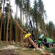 Forestry has been called a thriving sector in Scotland