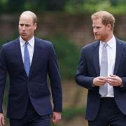Prince William (left) and his younger brother Prince Harry