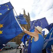 Anti-Brexit demonstrators wave European Union flags outside the Houses of Parliament