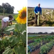 Tree planting efforts, and community and market gardens have been part of Lauriston Farm's first year