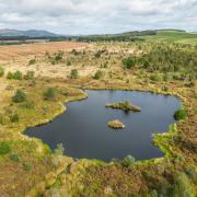 Photo shows native woodland regeneration in the foreground, pond creation in the mid-ground and restored raised bog in the background