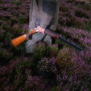 Land managed for the shooting of red grouse may now be subject to a licencing scheme by the Scottish Government