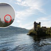 A tourist staying on Loch Ness spotted something 'like a huge neck' in the famous Scottish waters