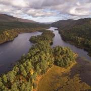 A view of Glen Affric, where Trees for Life is running a rewilding project